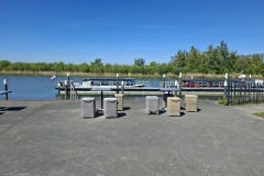 Biesbosch2