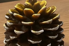 kerstattentie