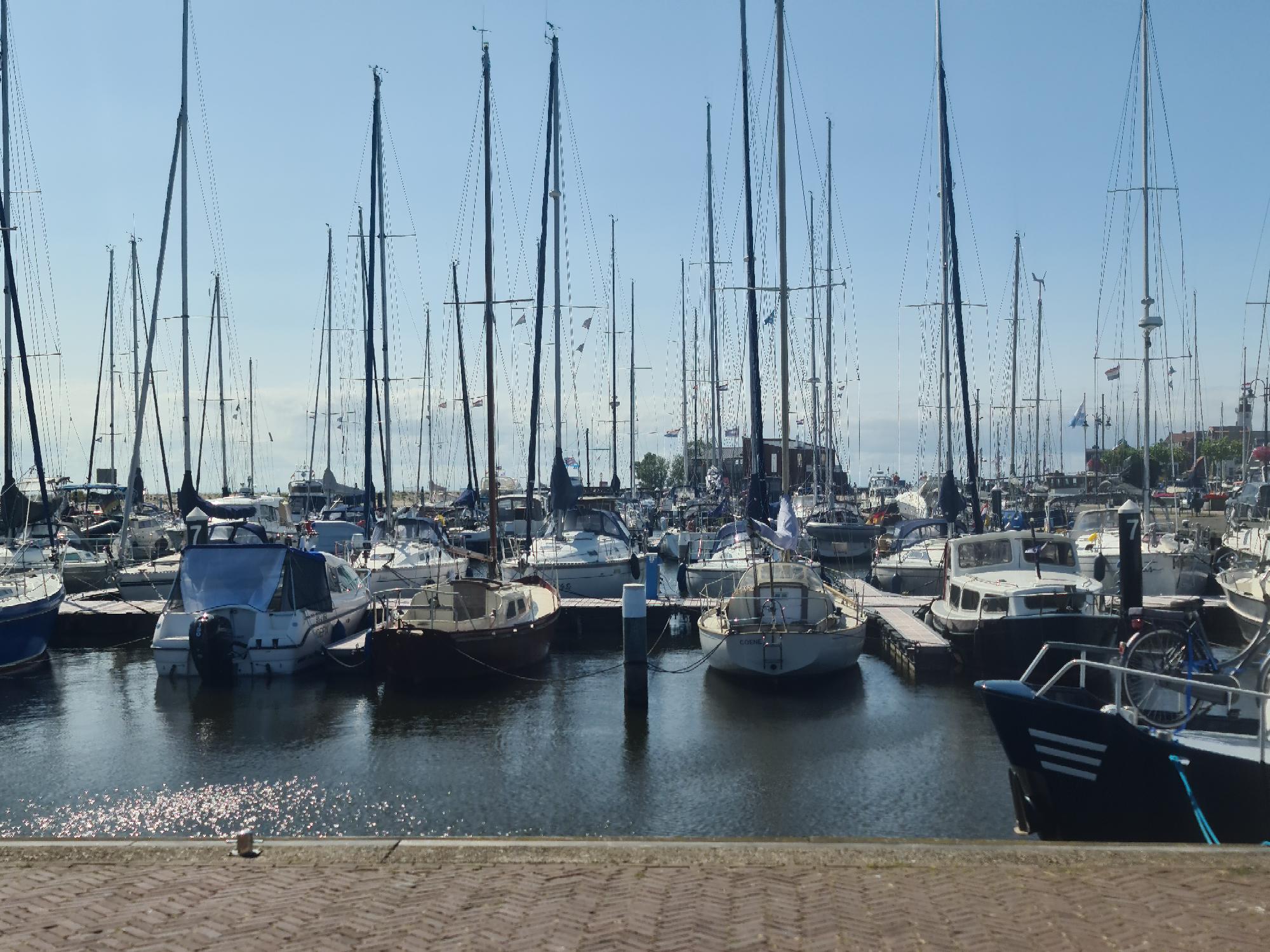 1000077896urk23