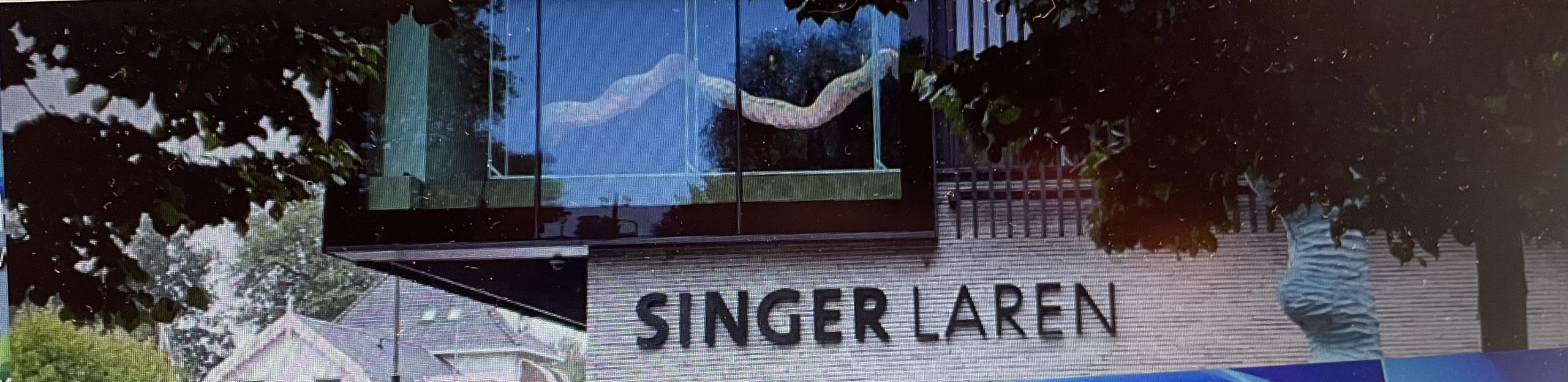 Singer Laren